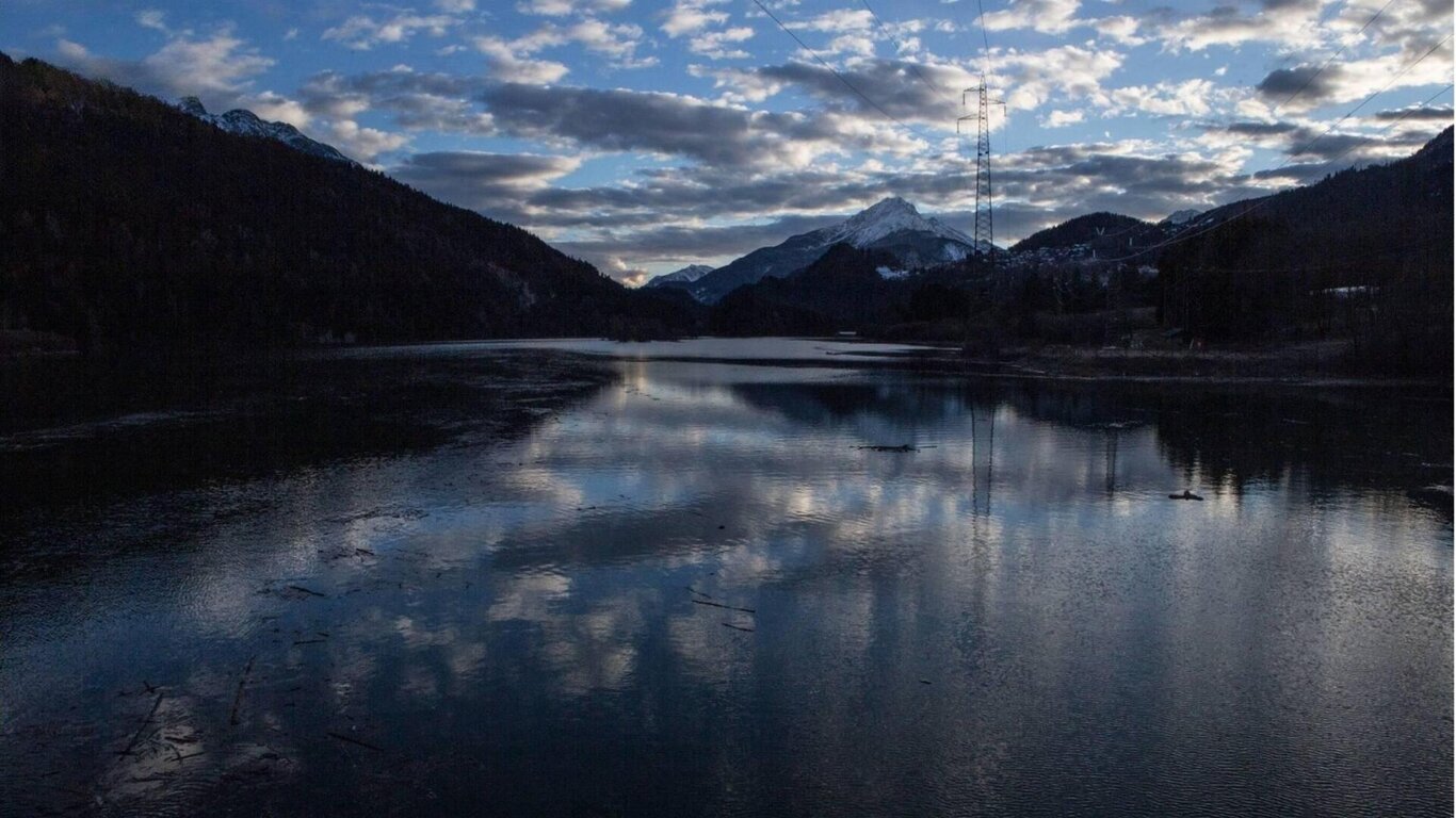 Dove nuotano i caprioli Dove nuotano i caprioli