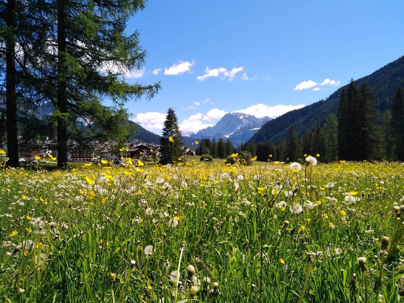 El bon de l’ansuda - Festa di primavera