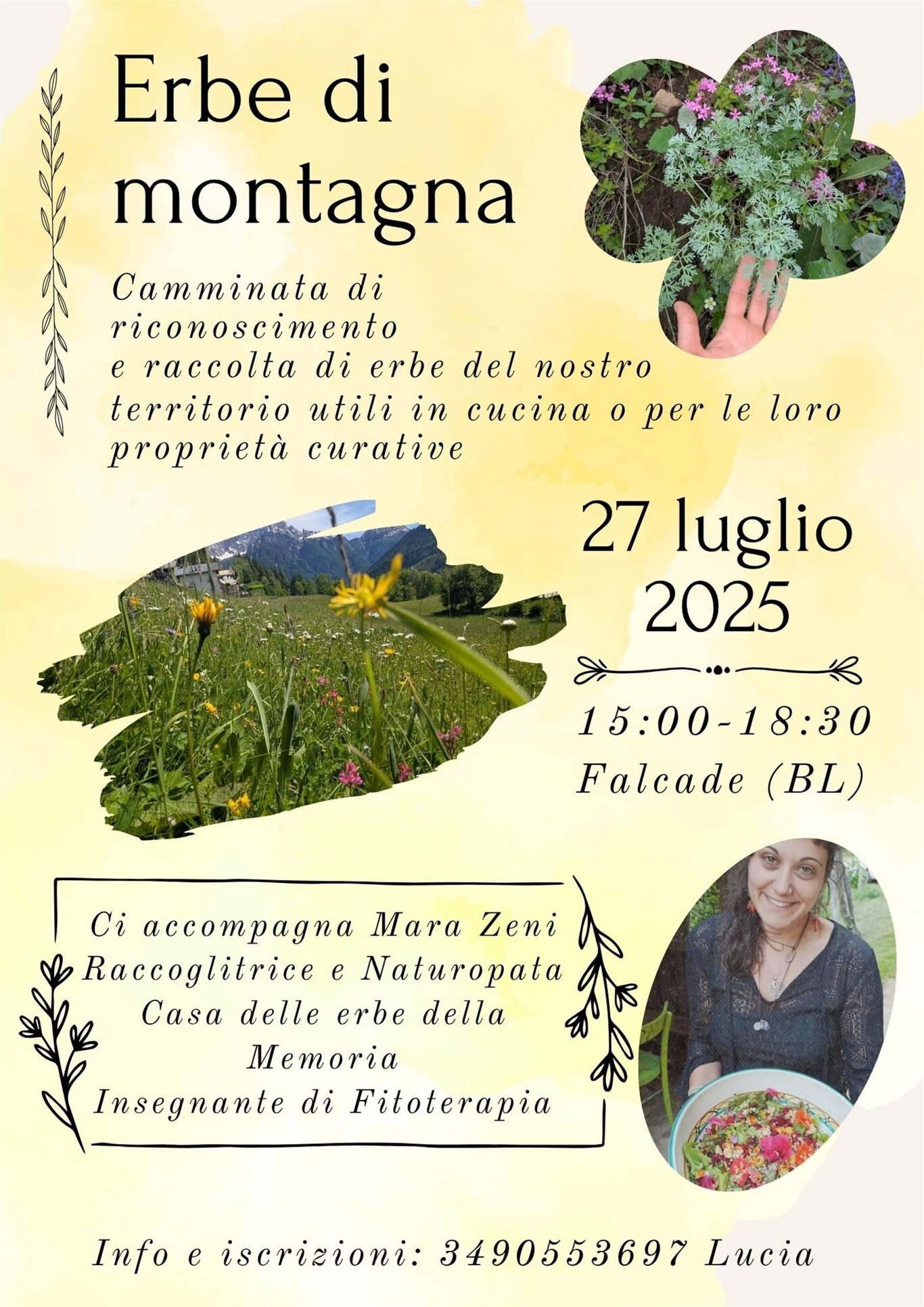Erbe di montagna