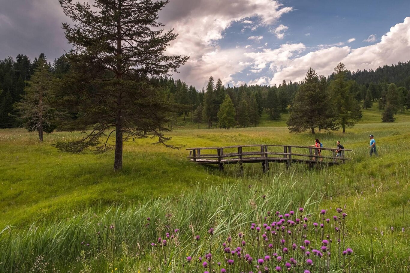 Esc. gratuita Sentiero della Musica (su prenotazione)