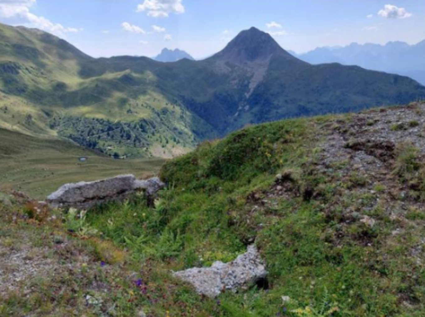Escursione al Monte Steinmann-Saré da Malga Coltrondo