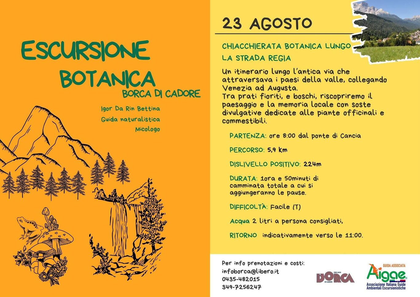 Escursione botanica a Borca di Cadore