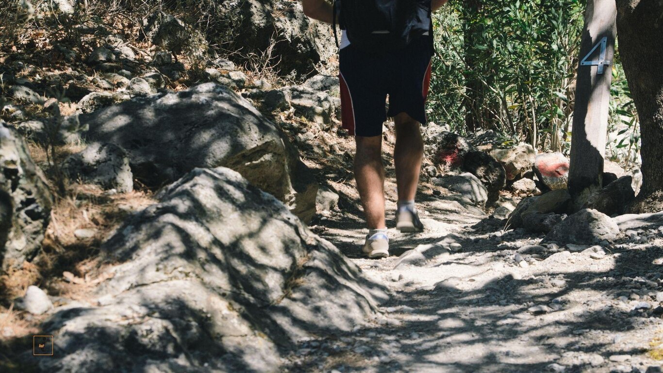 Escursione giornaliera al Monte Tomatico