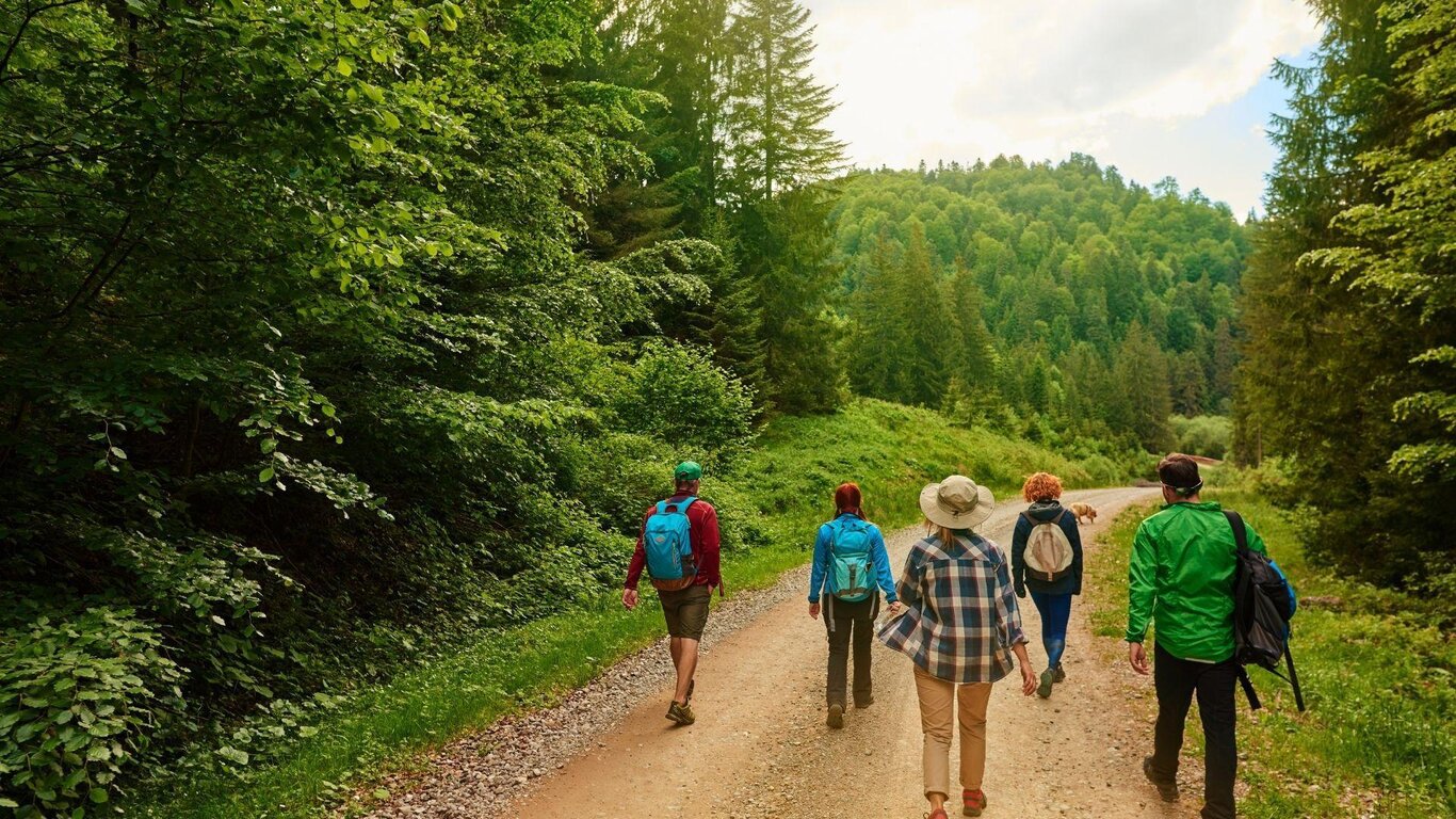 IL SENTIERO NATURA DEL PARCO IN VAL FALCINA IL SENTIERO NATURA DEL PARCO IN VAL FALCINA