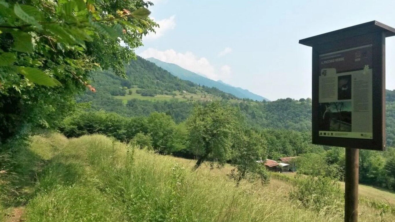 L'ANELLO DI TRUGNO L'ANELLO DI TRUGNO