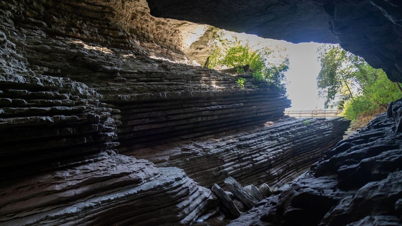 Escursione naturalistica alla scoperta dei Brent de l'Art
