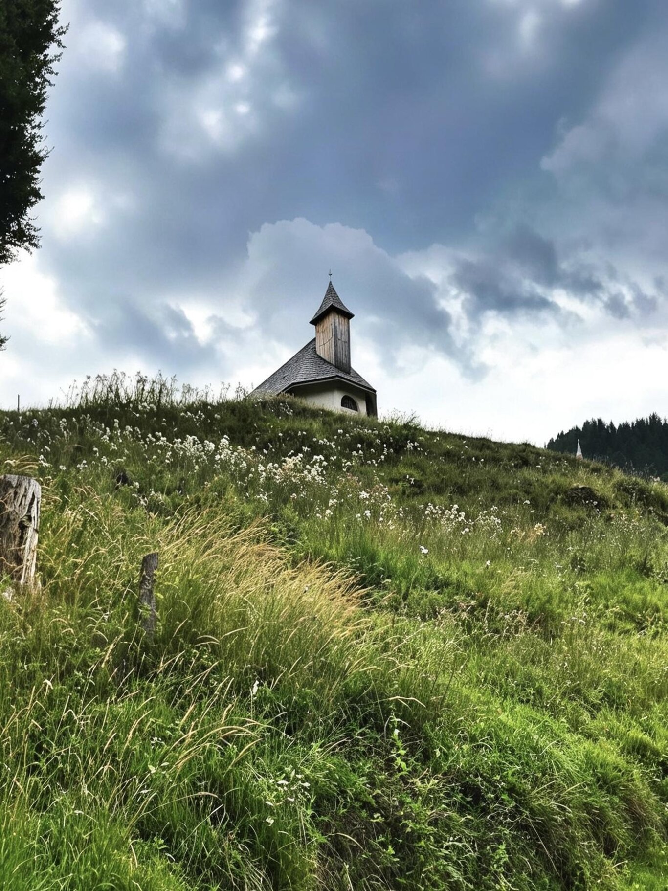 Escusione serale e cena all'Eremo dei romiti