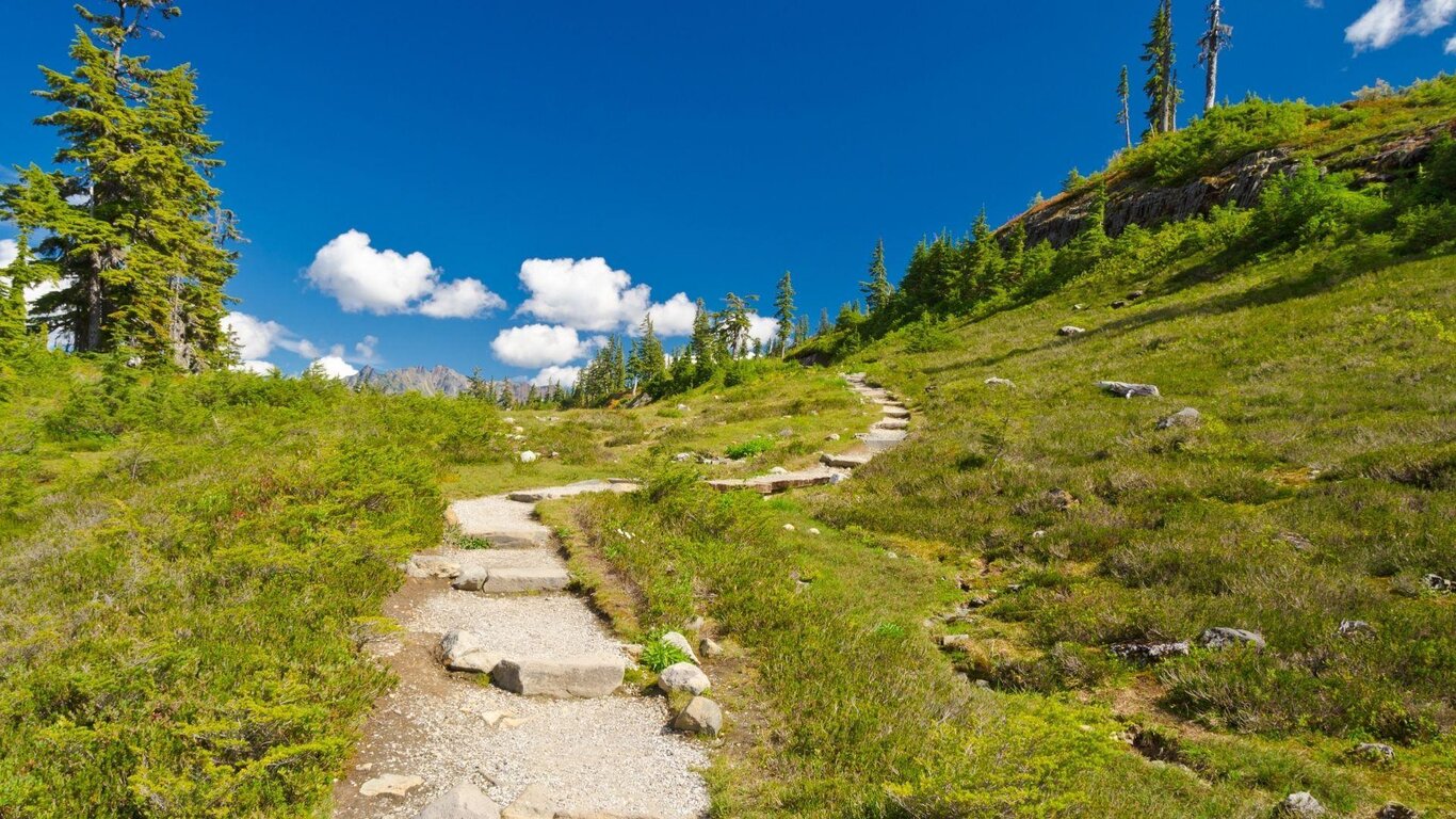 Eventi Estate 2026 - Rifugio Casera Ere