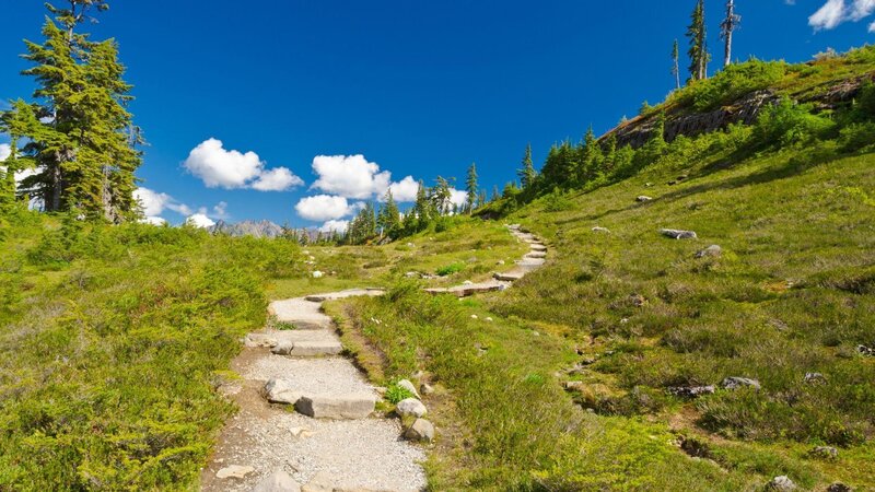Eventi Estate 2026 - Rifugio Casera Ere