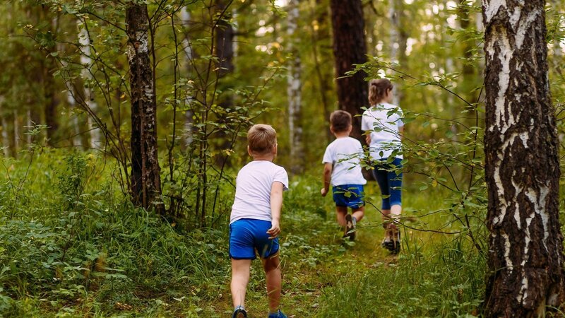 Family Woodland