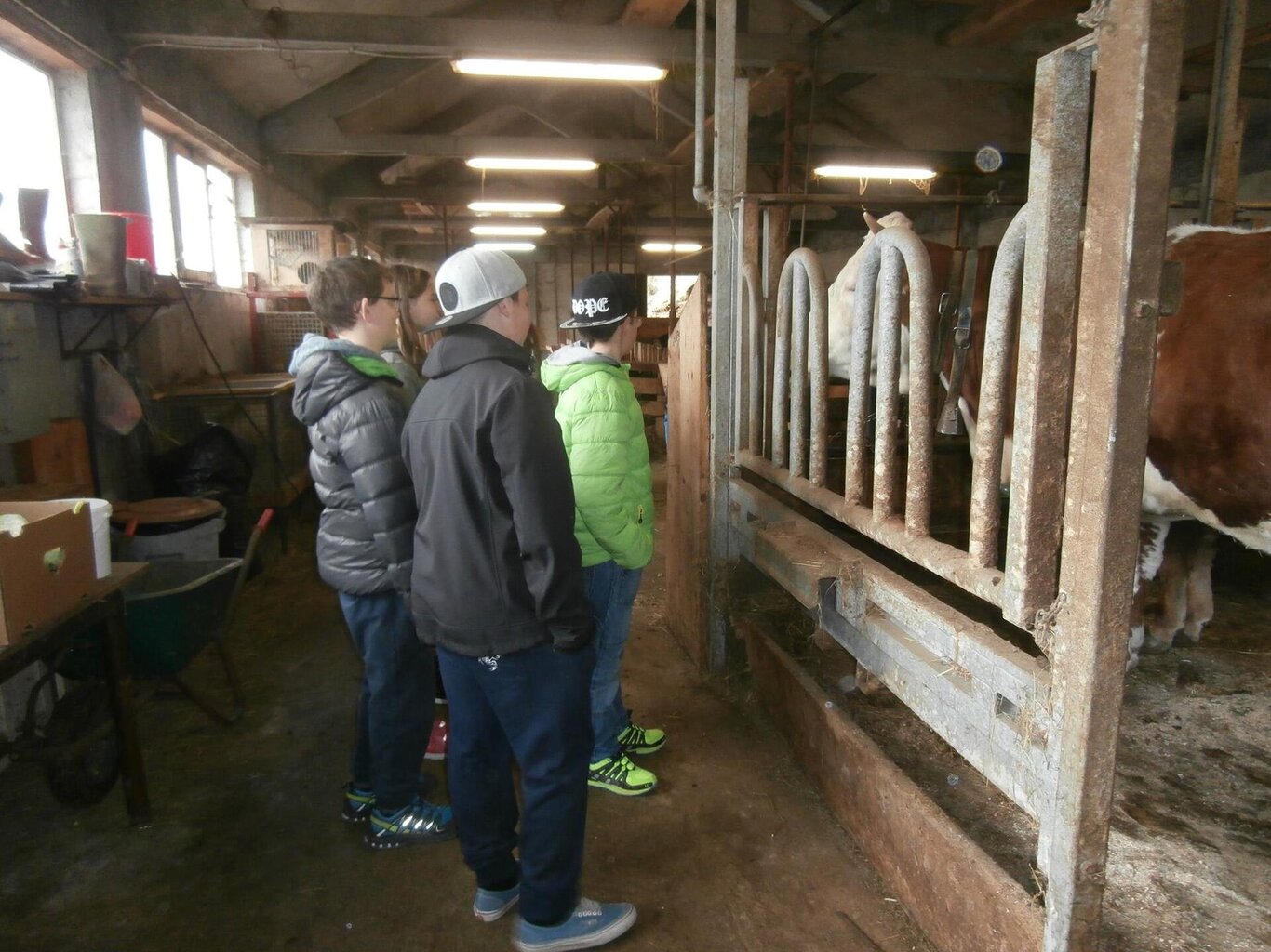 Fattoria Didattica alla Agriturismo Ai Lares