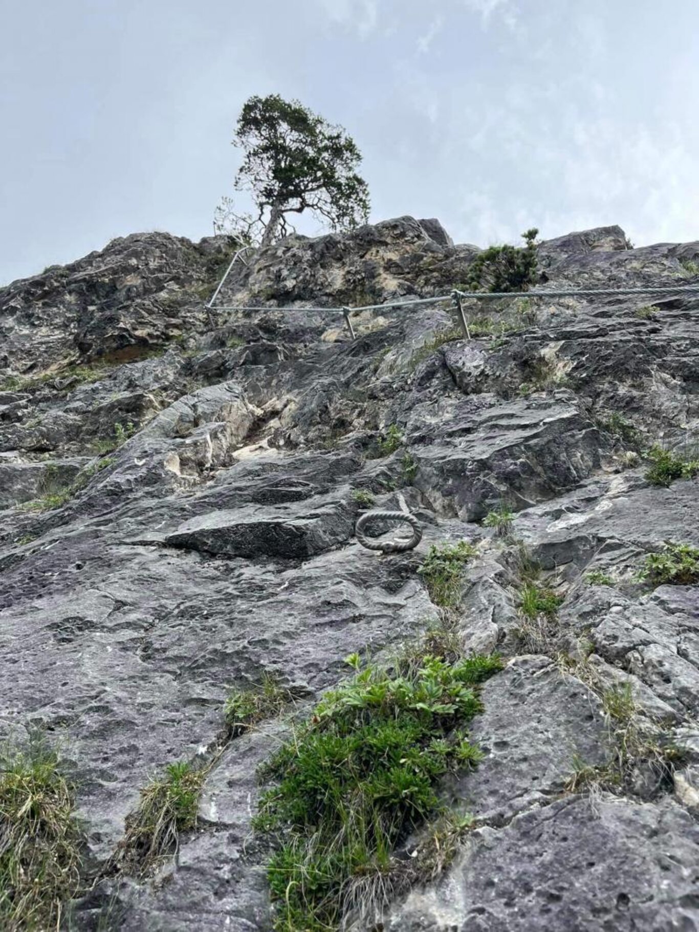 Ferrata Caprioli