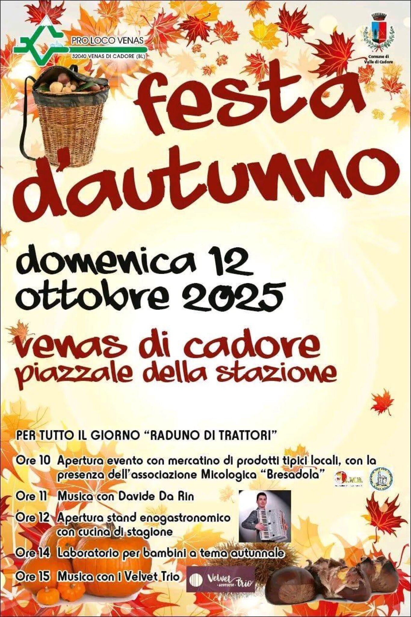 festa autunno venas