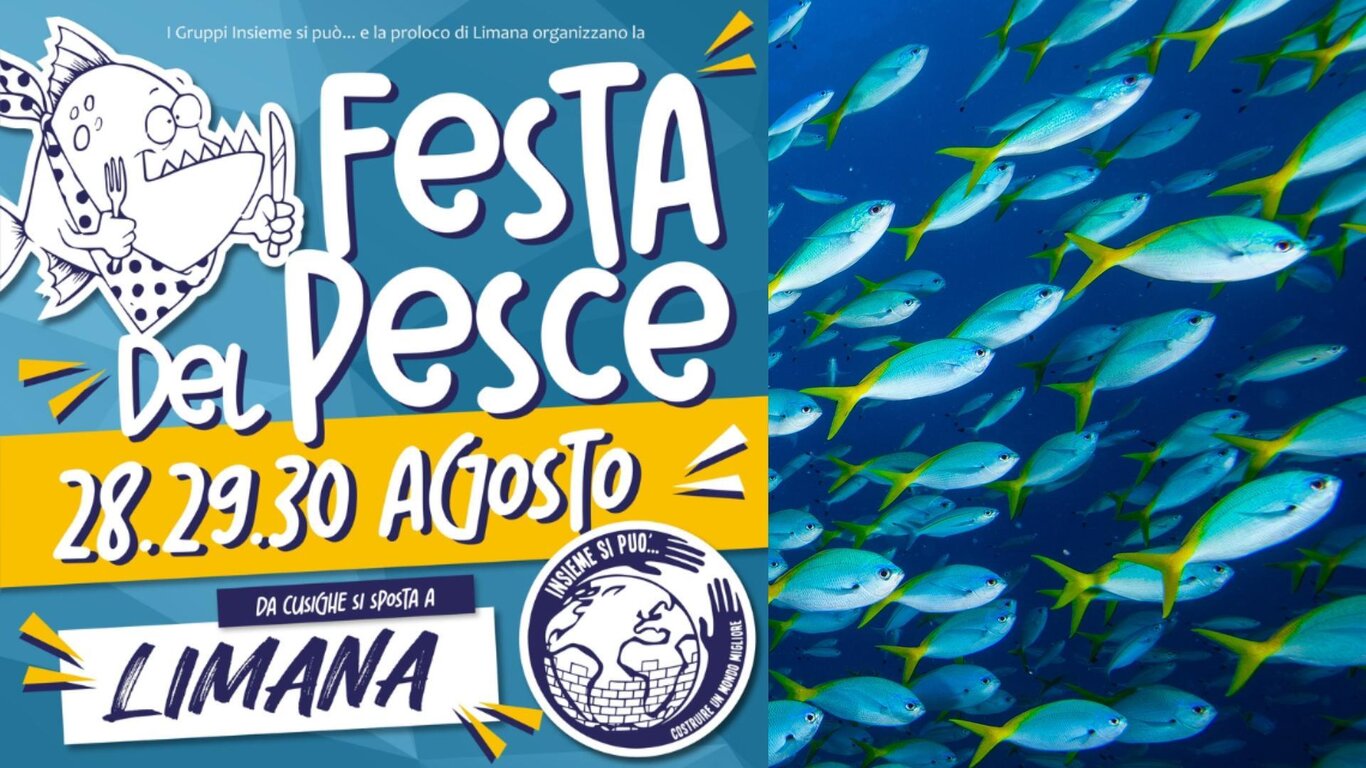 Festa del pesce a Limana