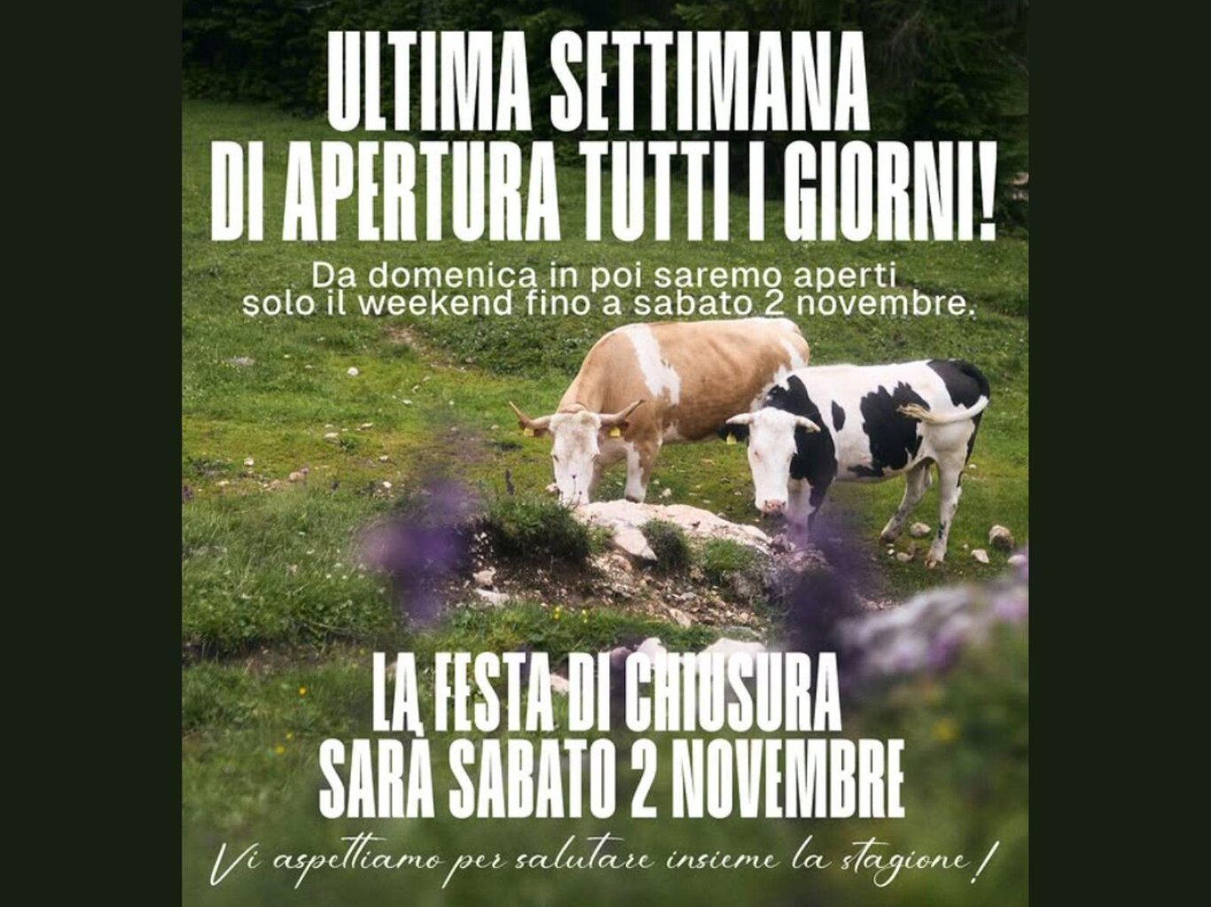 Festa di Chiusura
