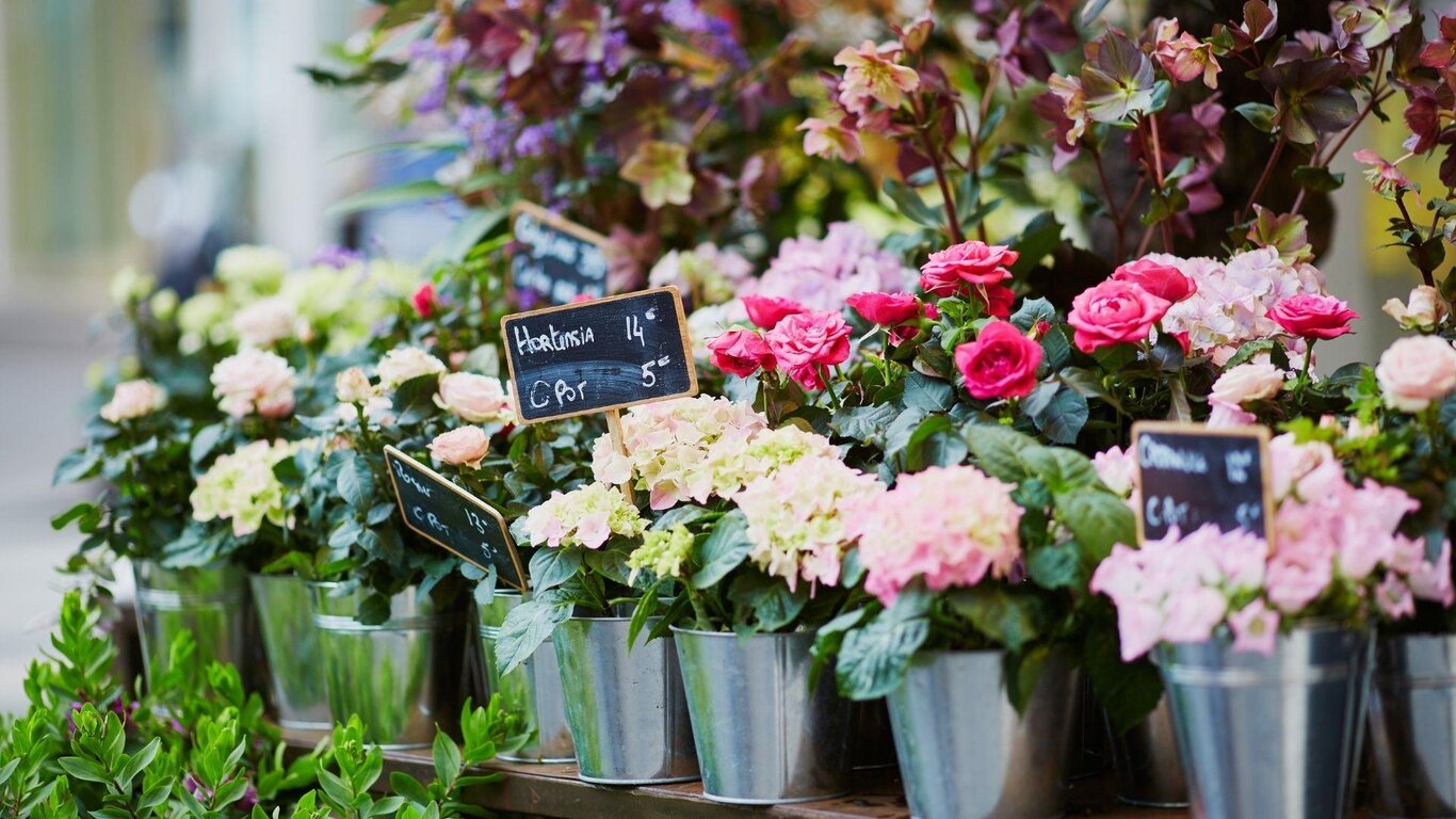 Festa di primavera - Belluno in fiore