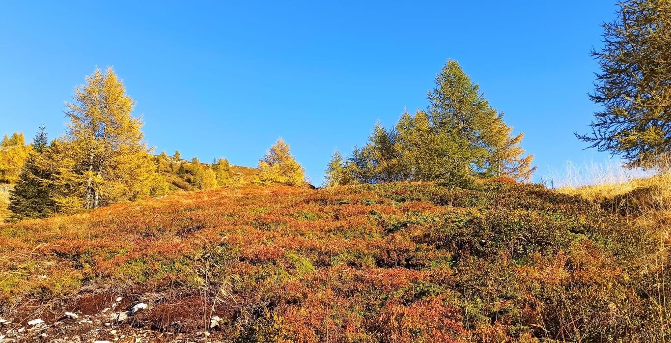 Autunno