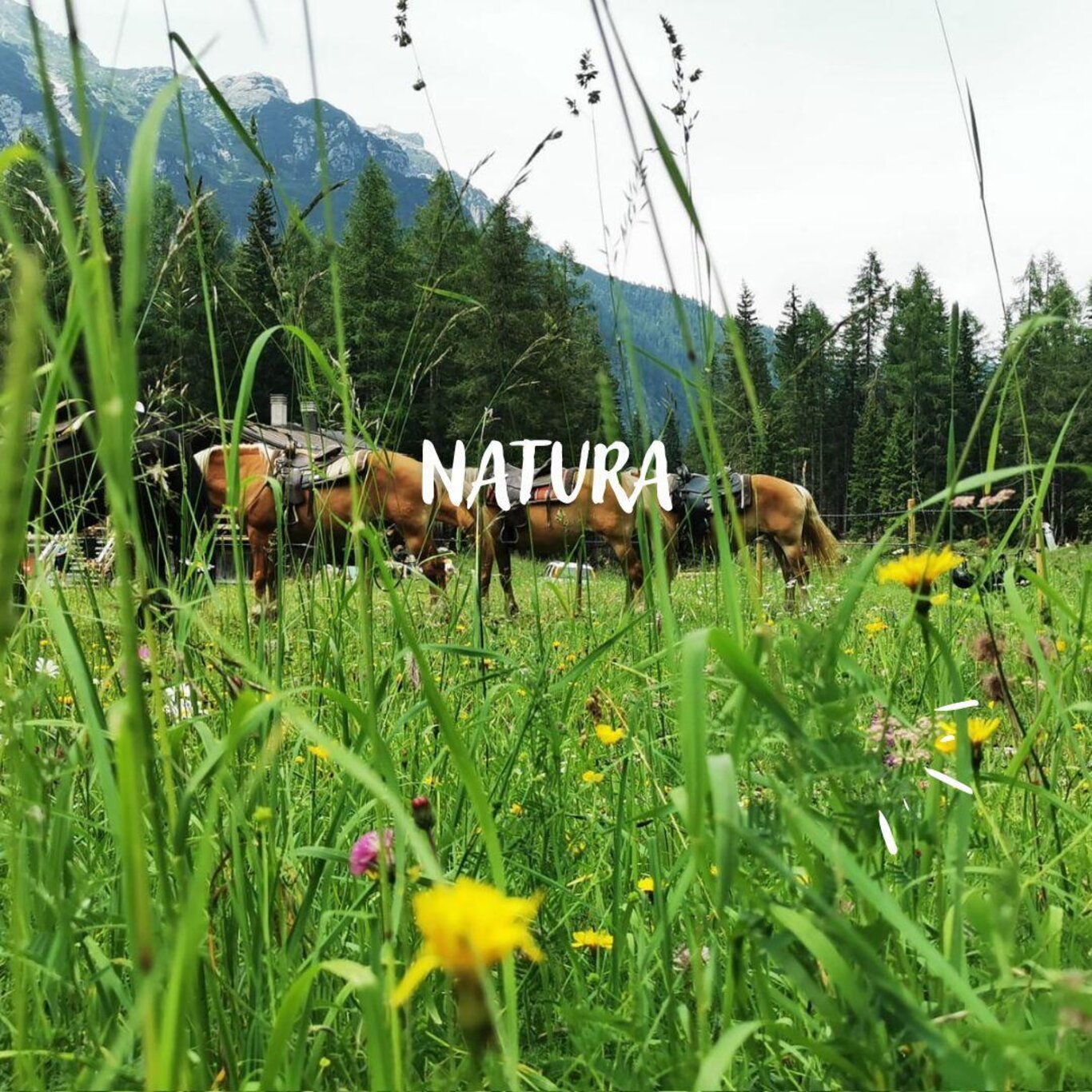 natura