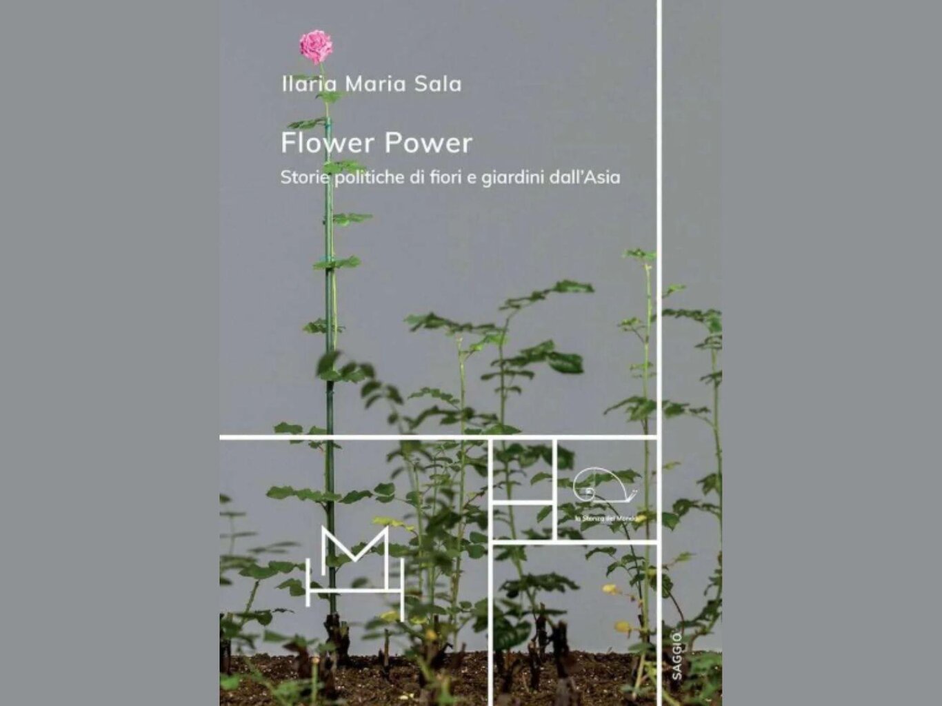 Flower Power