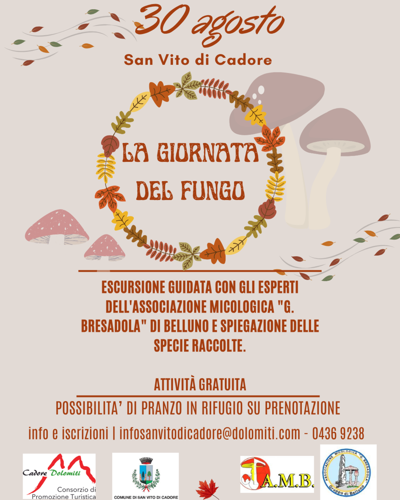 Giornata del fungo Giornata del fungo