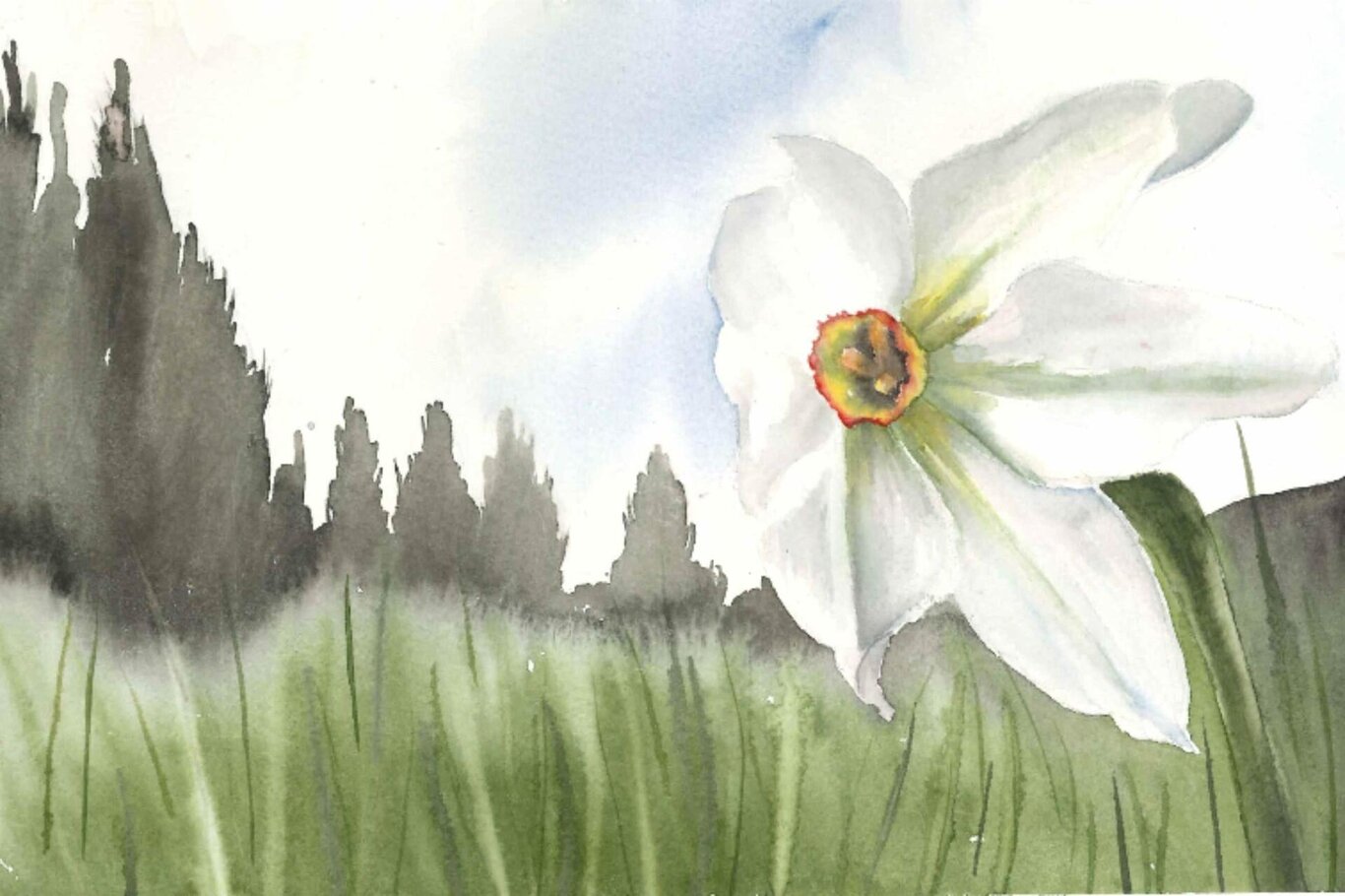 Giornate dei Narcisi