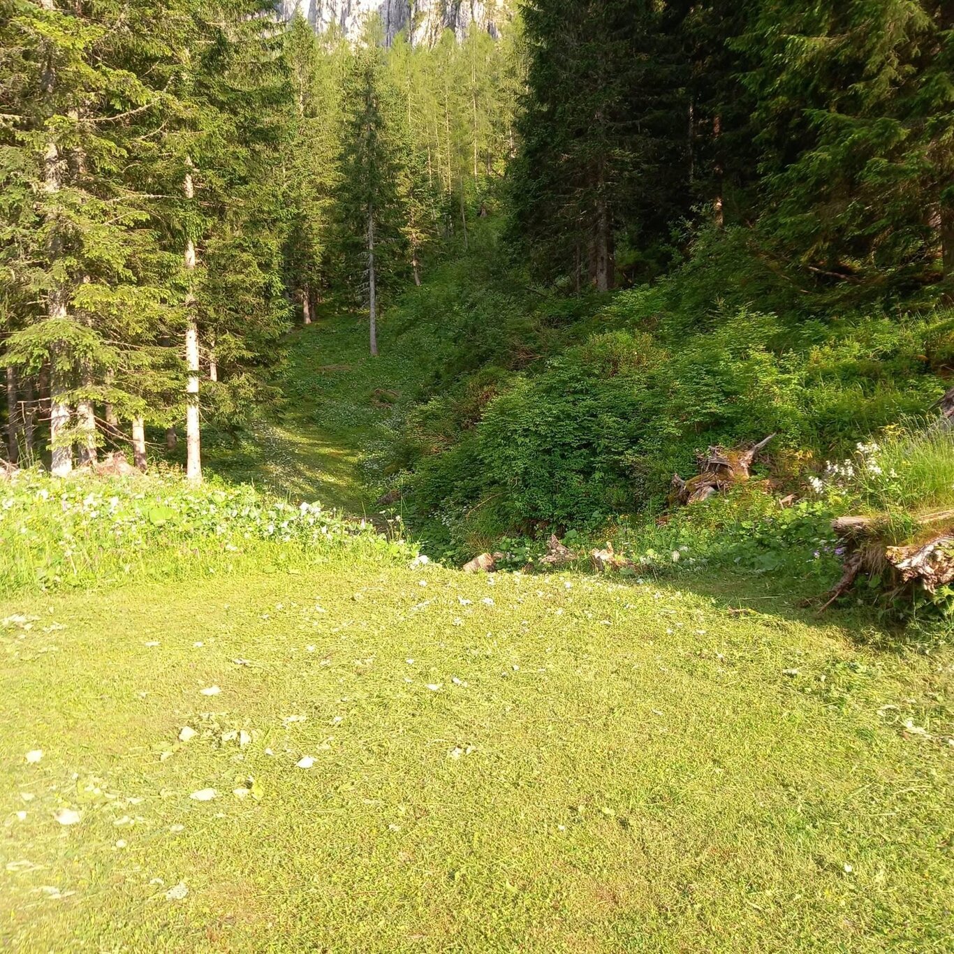 Gira la Brenta