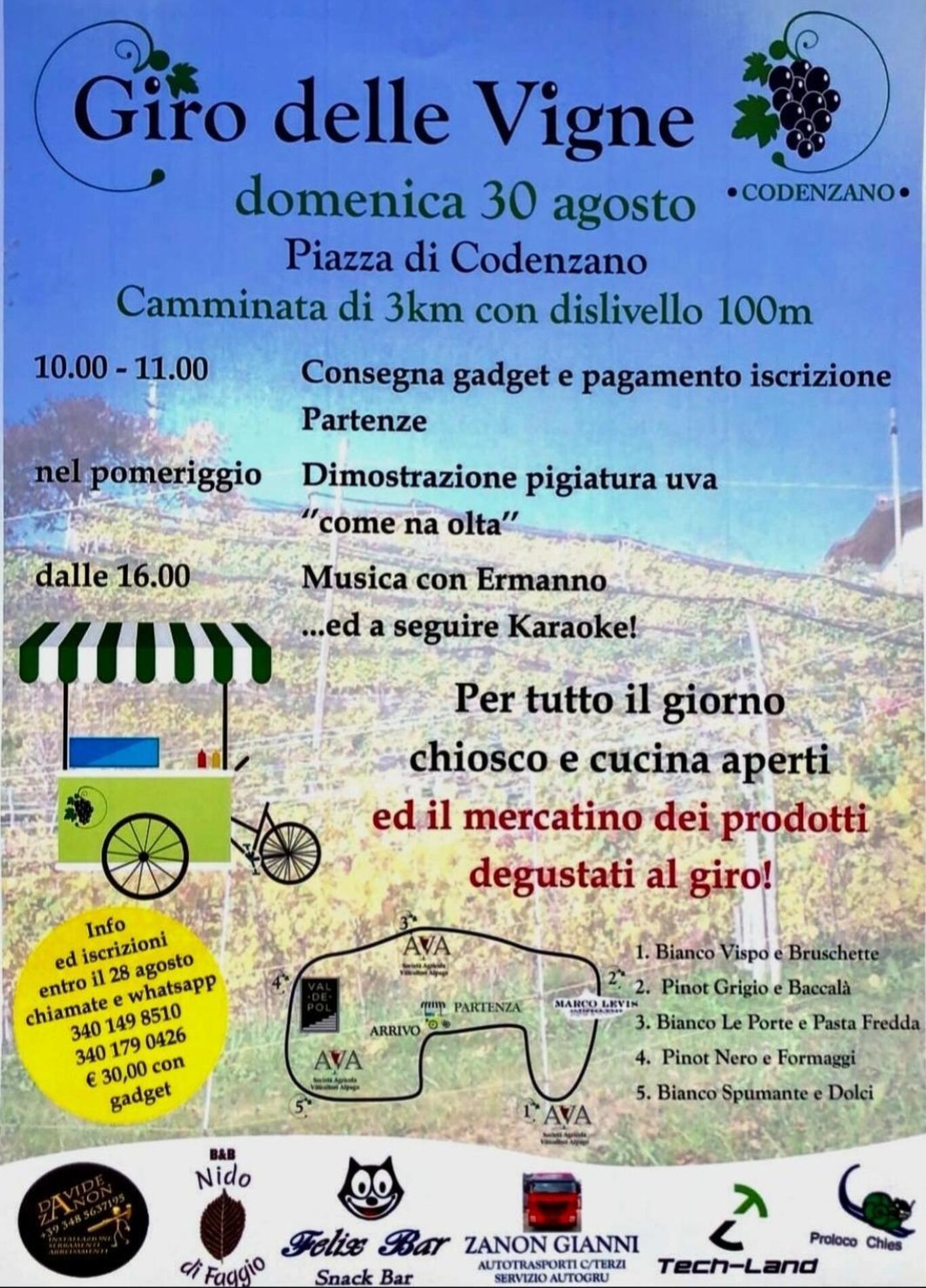 Giro delle vigne a Codenzano