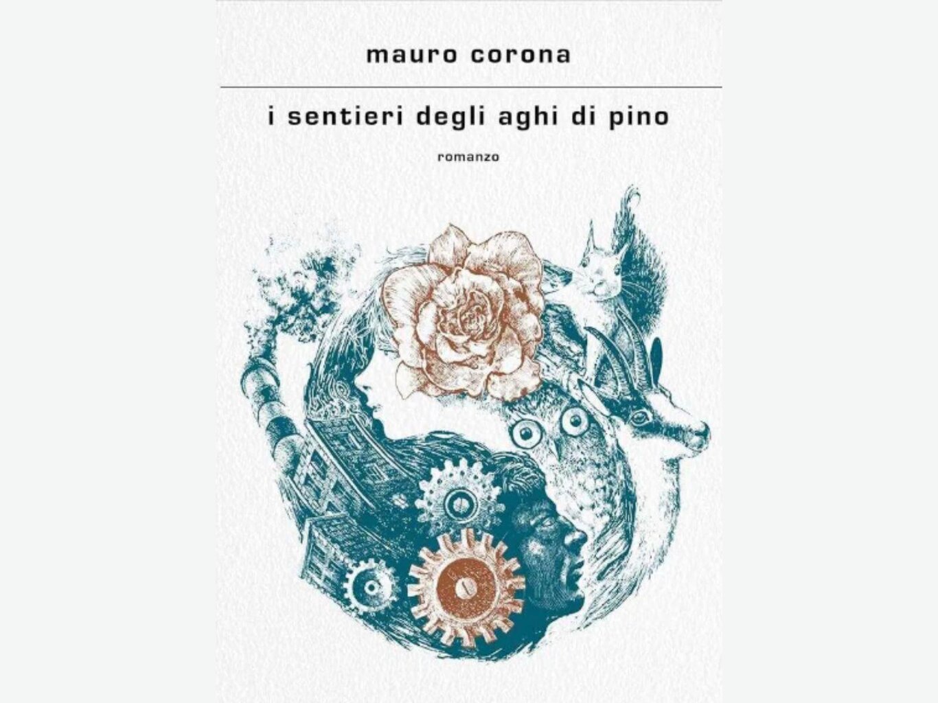 I sentieri degli aghi di pino