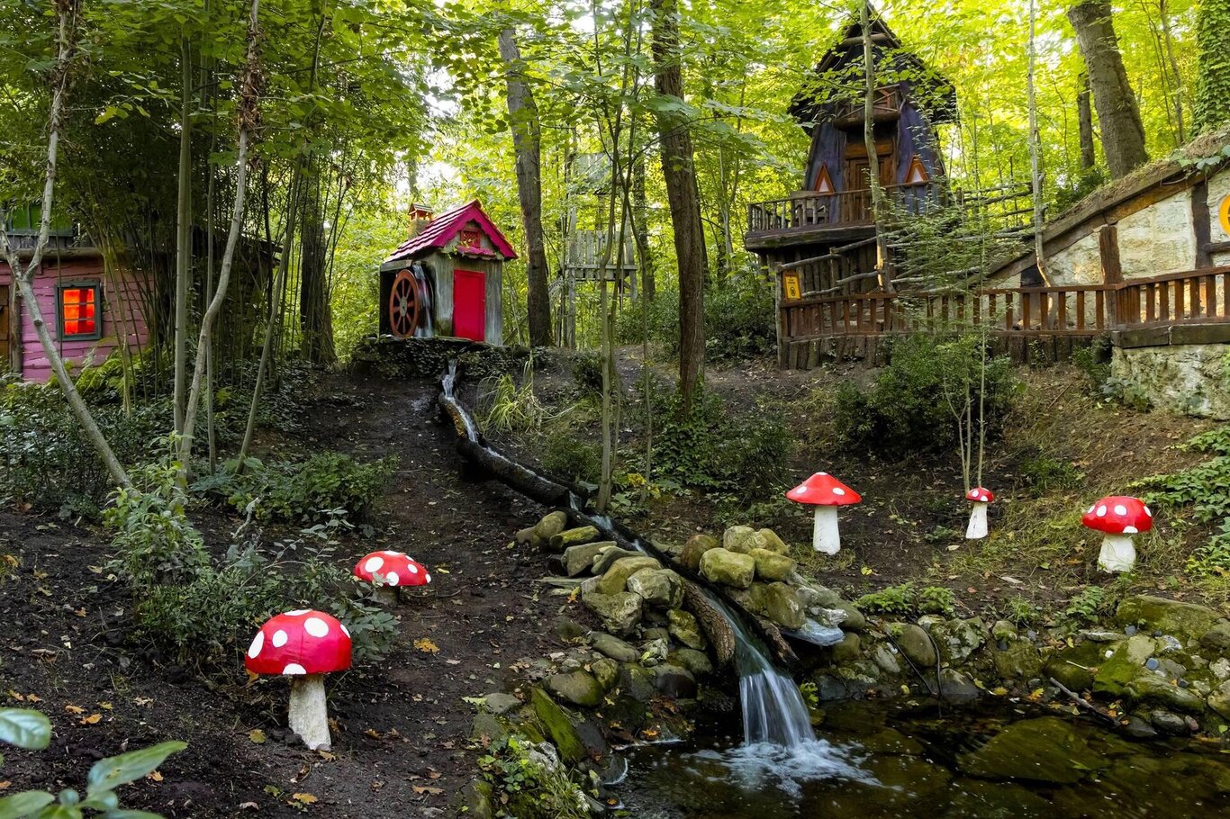 Il Bosco Racconta – Una giornata in natura per incontrare i Kodama