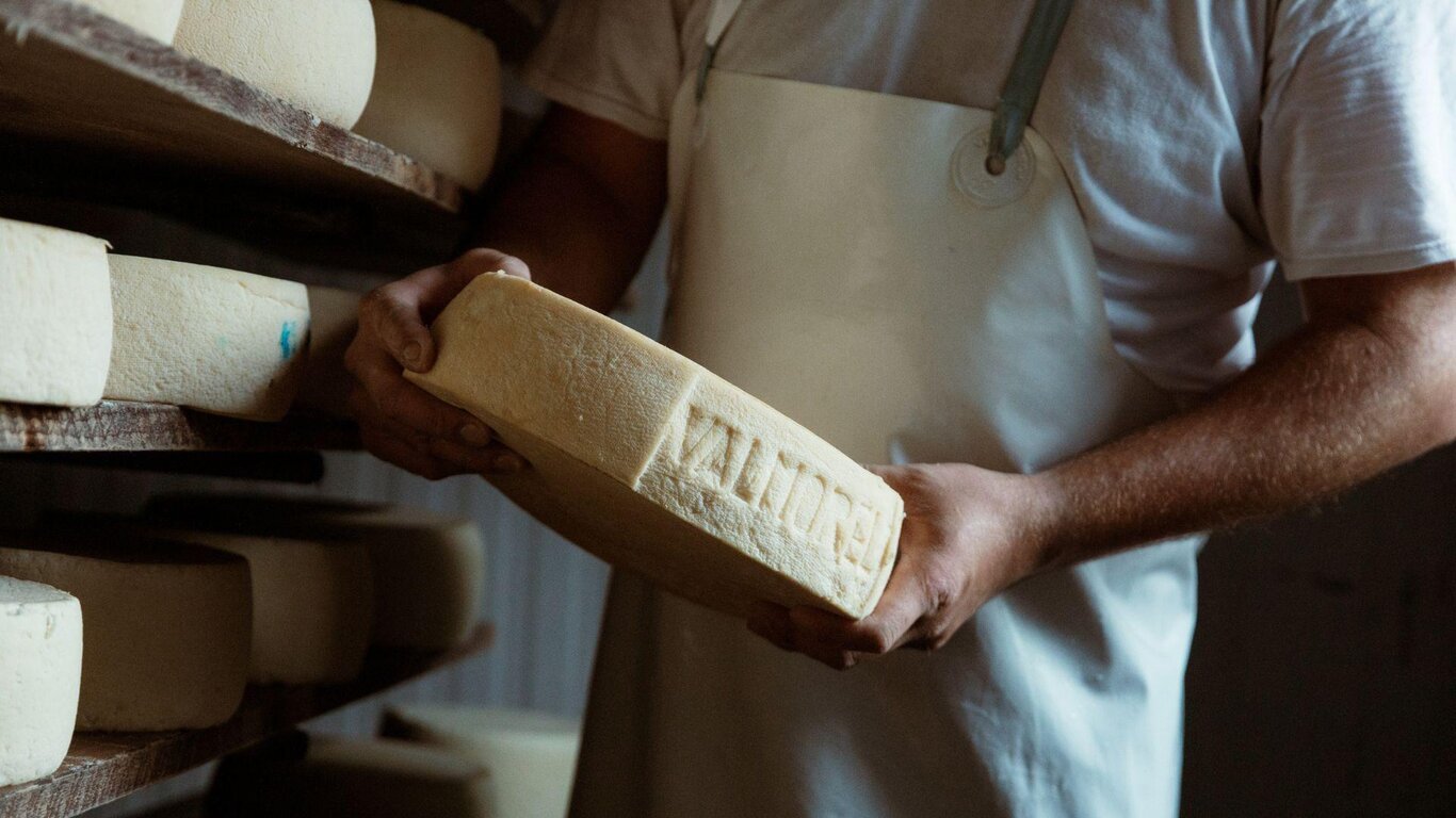 Il Buongiorno del Casaro