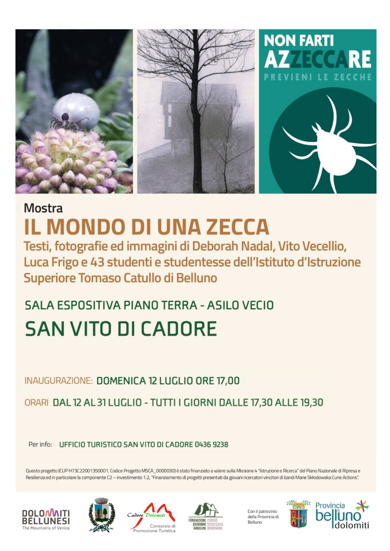 IL MONDO DI UNA ZECCA