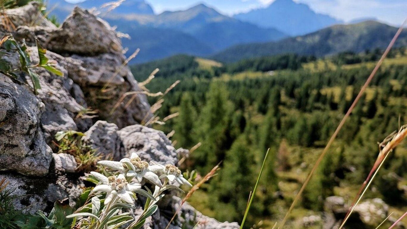 Il panoramico anello dei Setsass