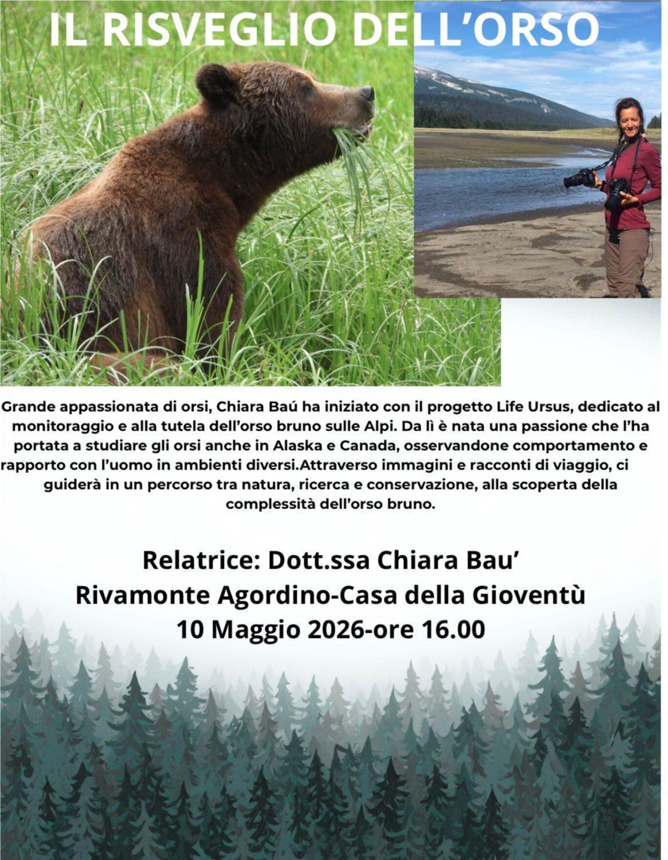 Il Risveglio dell'Orso