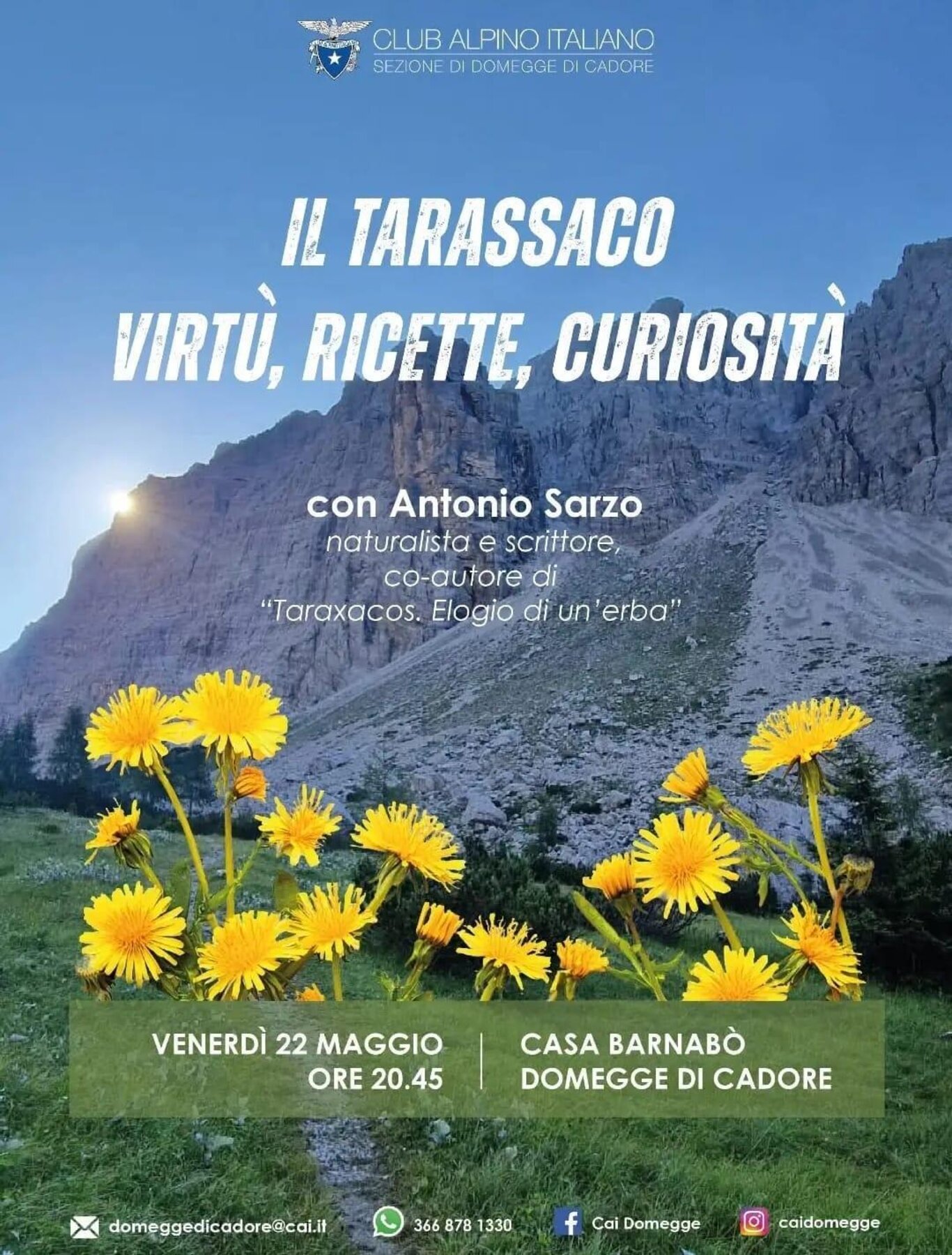 Il tarassaco, Virtù, ricette, curiosità