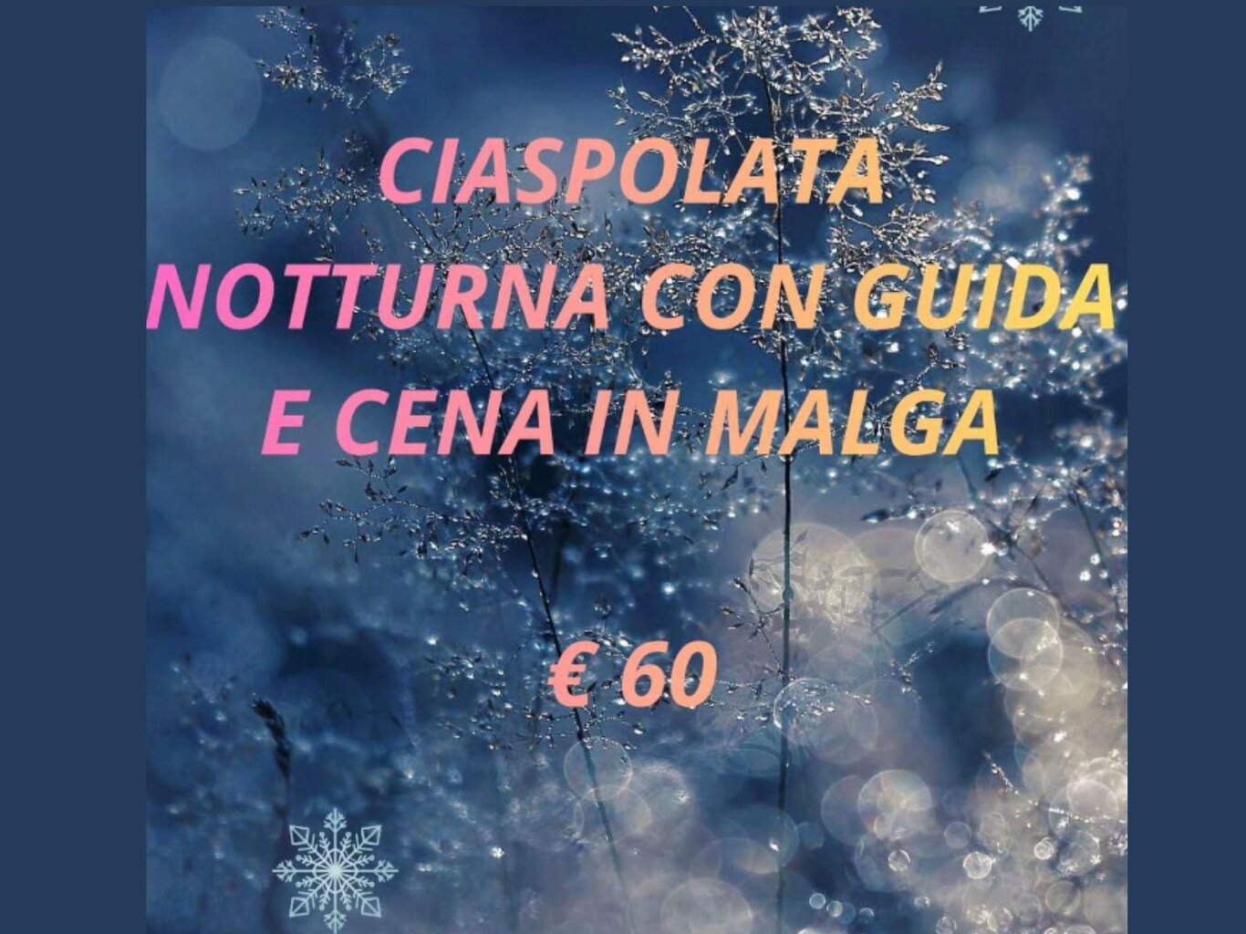 MOONLIGHT ENCHANTMENT