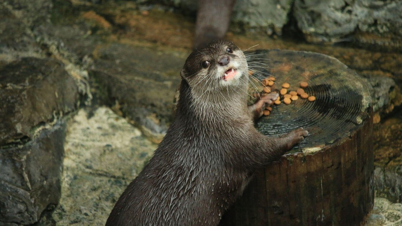 Incontri tra Natura e Scienza