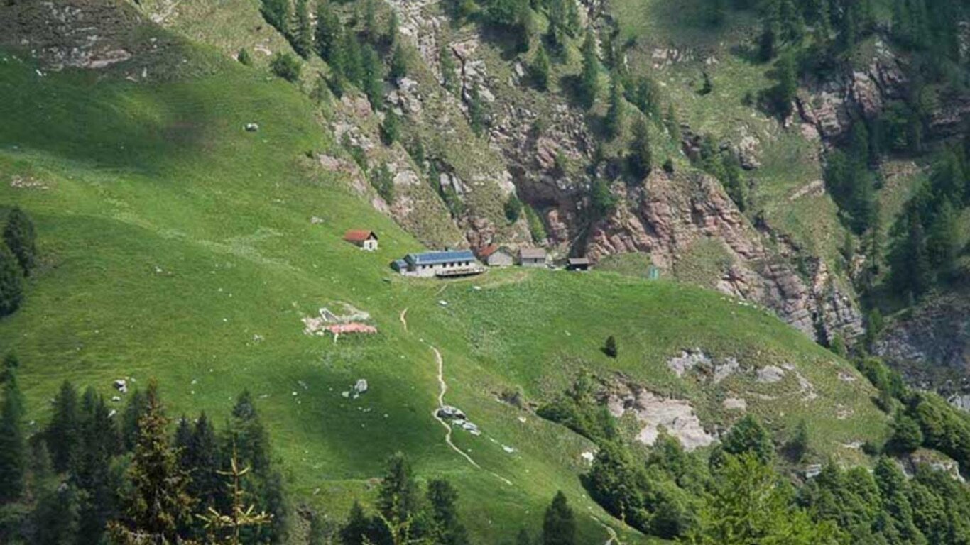La foresta degli altissimi abeti bianchi: la magica Val del Grisol