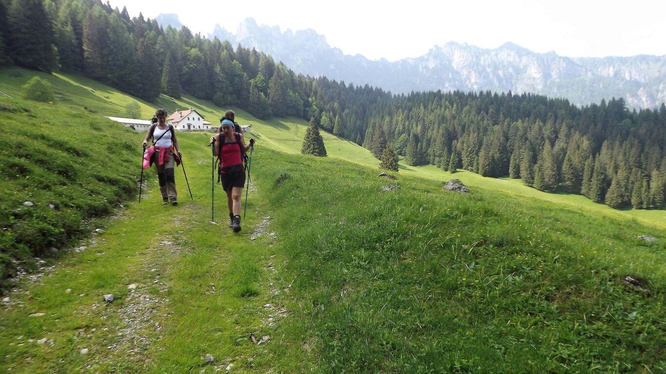 La foresta della Serenissima e il Monte Zirvoi