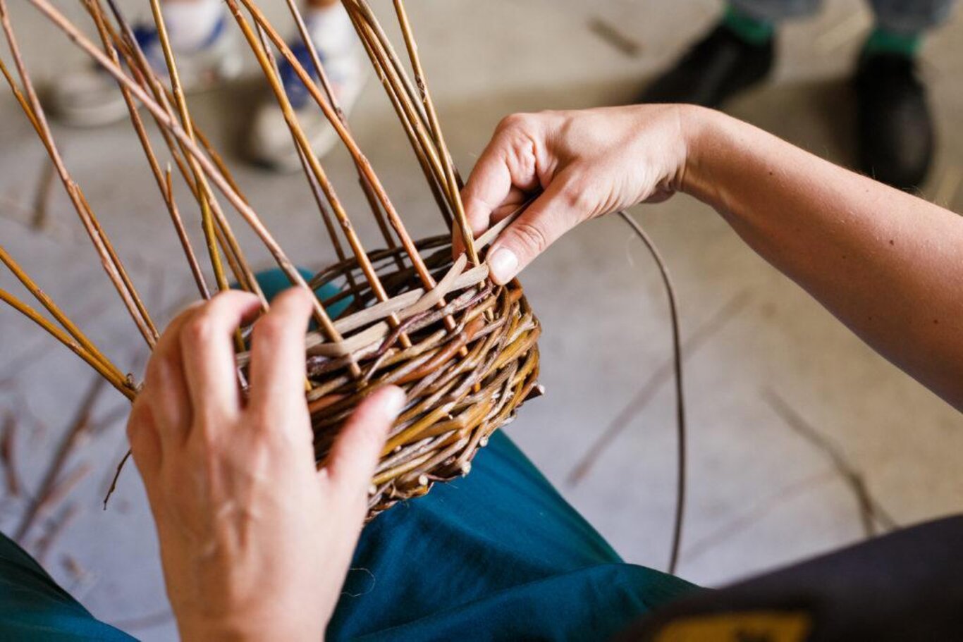 Laboratorio cesteria