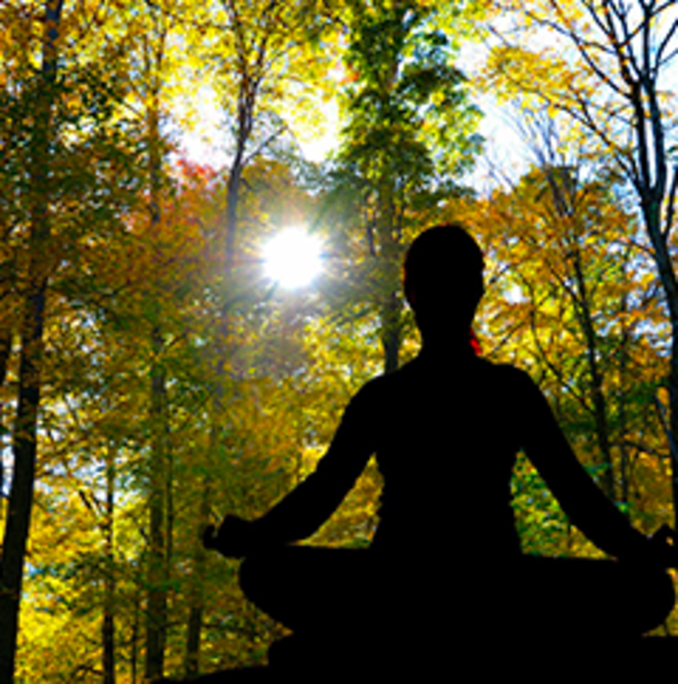 echo yoga echo yoga
