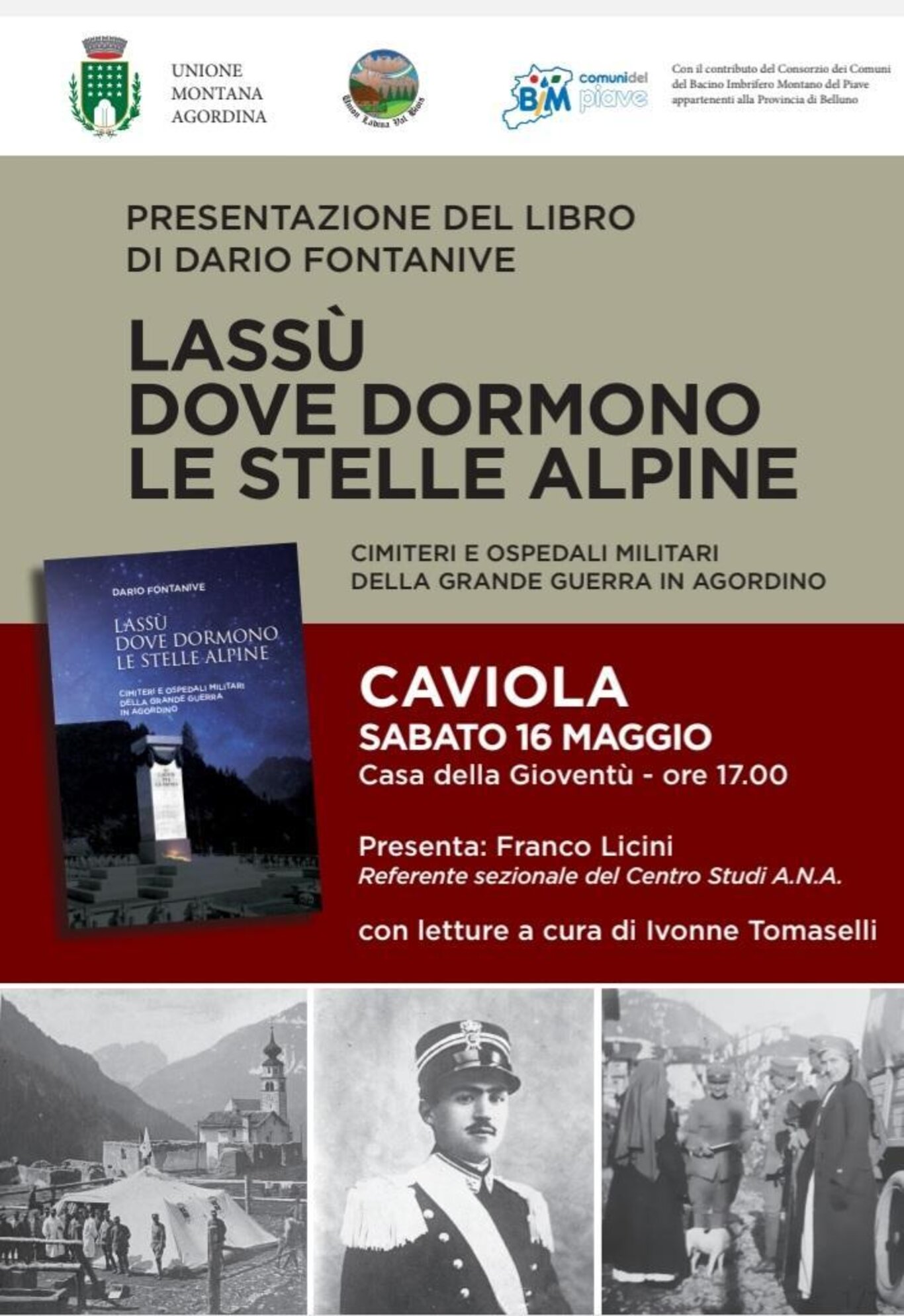 Lassù dove dormono le stelle alpine