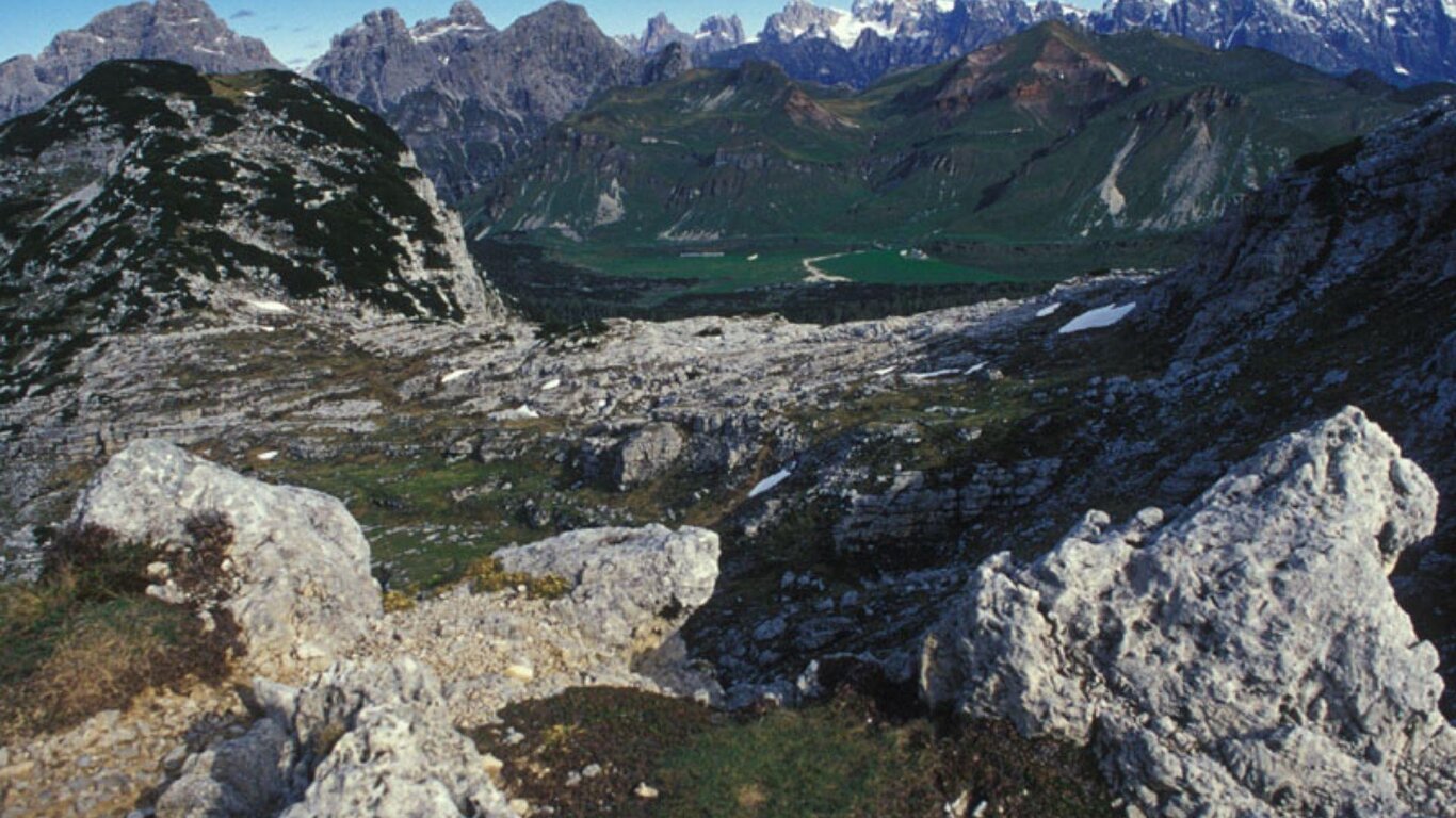 Le marmotte del parco