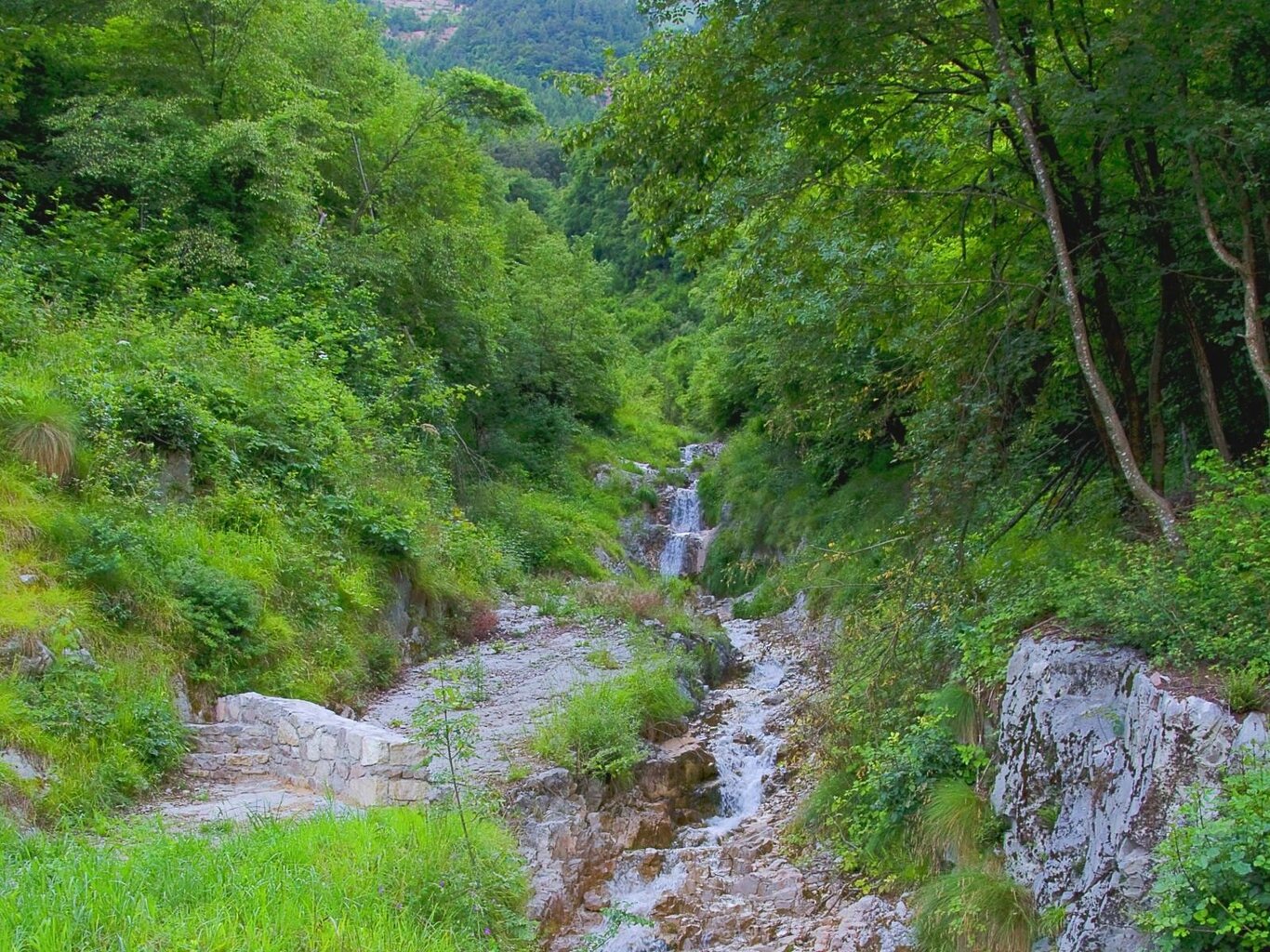 Ludoteca Longarone. Alla scoperta del Parco Nazionale delle Dolomiti Bellunesi