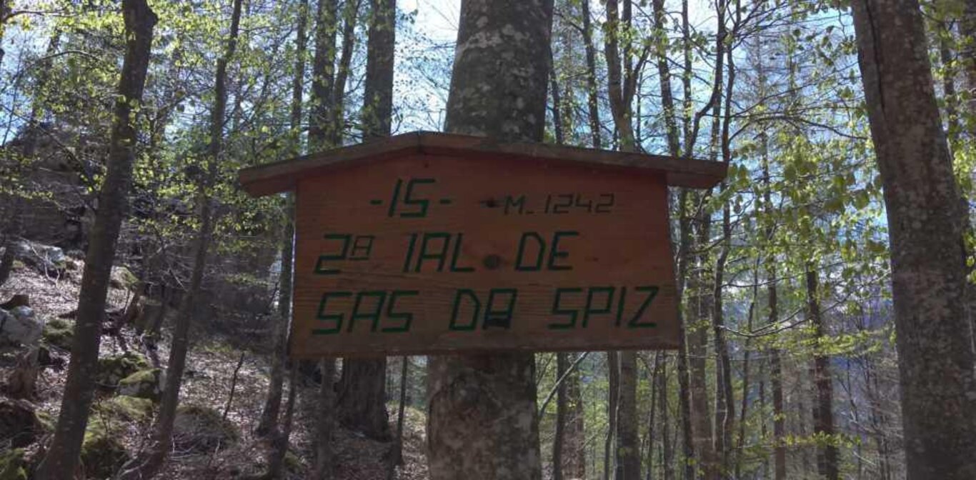Lungo il sentiero delle "Ial" sul Pelsa