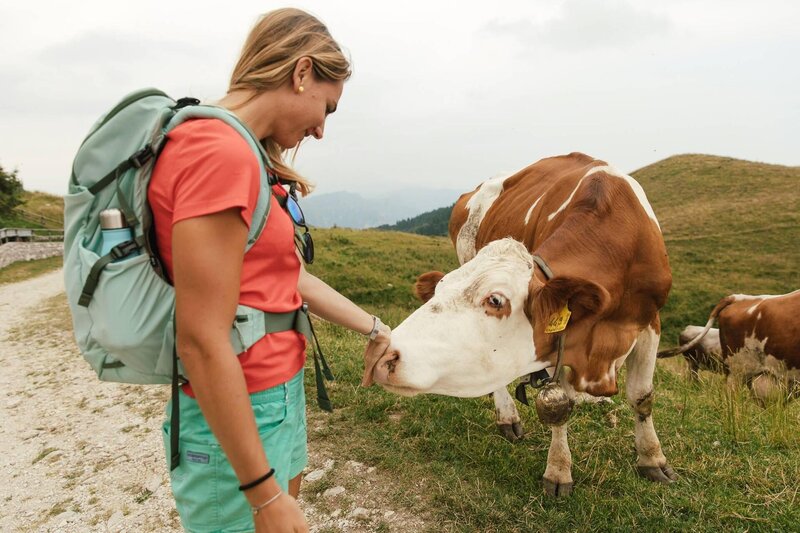 Malghe tra Miane e Borgo Valbelluna