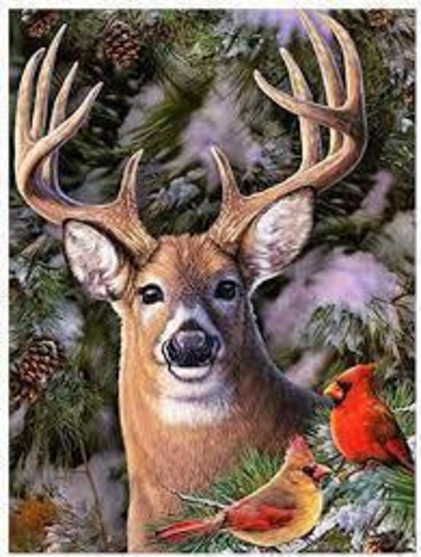 Mostra d'arte naturalistica:  I colori della natura