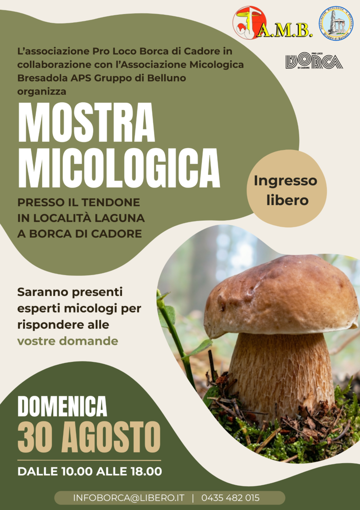 Mostra Micologica