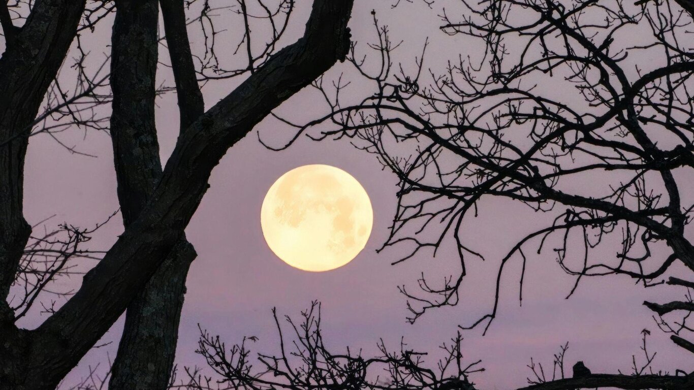 Nevegal d'argento sotto la luna piena