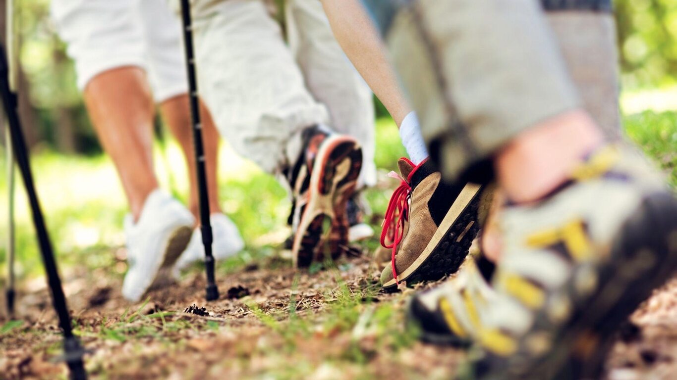 Nordic Walking Style