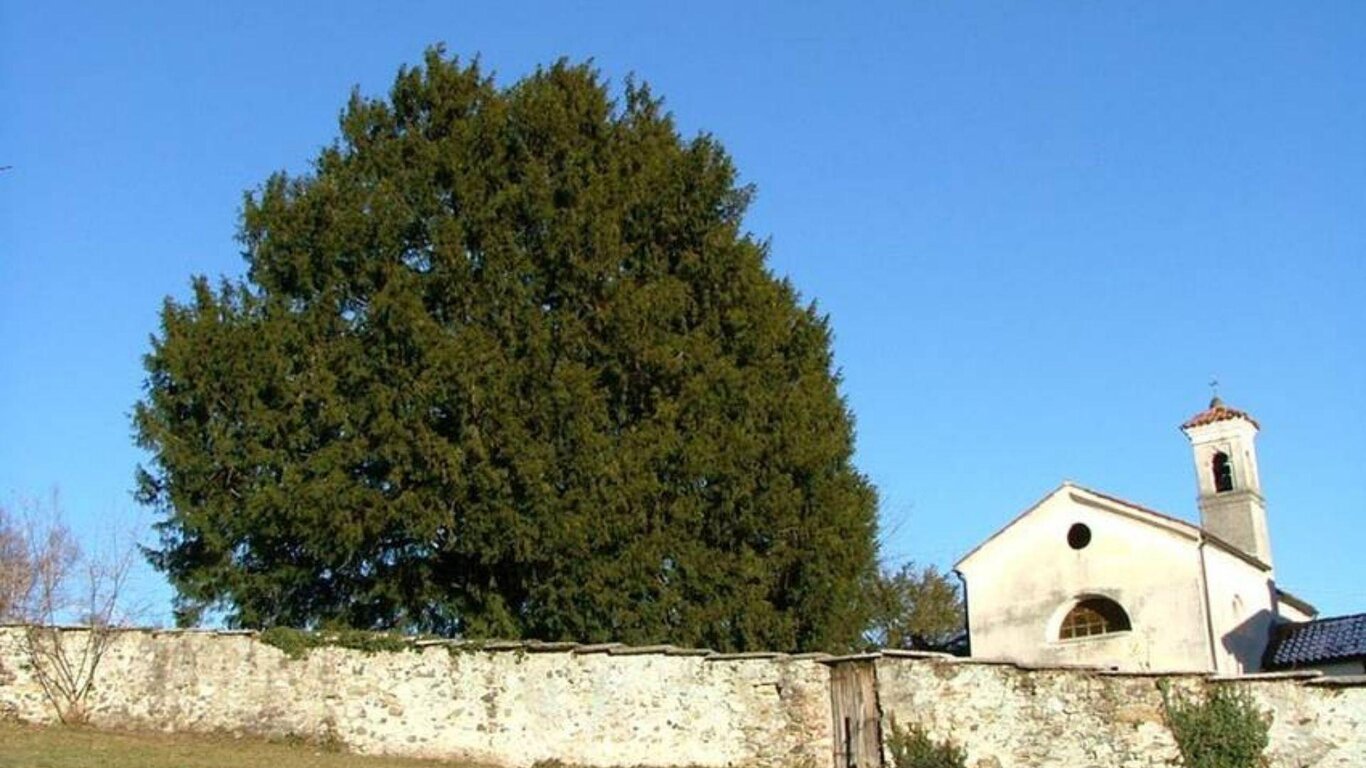 Chiesa di Menin con il grande Tasso Chiesa di Menin con il grande Tasso